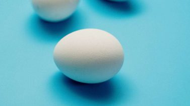 Organic vs Regular Eggs: Comparing Cholesterol Levels