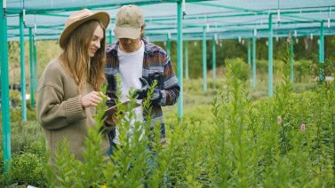 Can Organic Farms Use Manure?