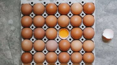 Are Egg Cartons Recyclable? A Comprehensive Guide