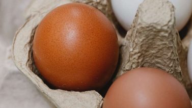 Are Styrofoam Egg Cartons Recyclable? A Comprehensive Guide