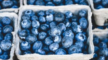 Pesticide Use in Organic Blueberry Farming: Myths and Facts